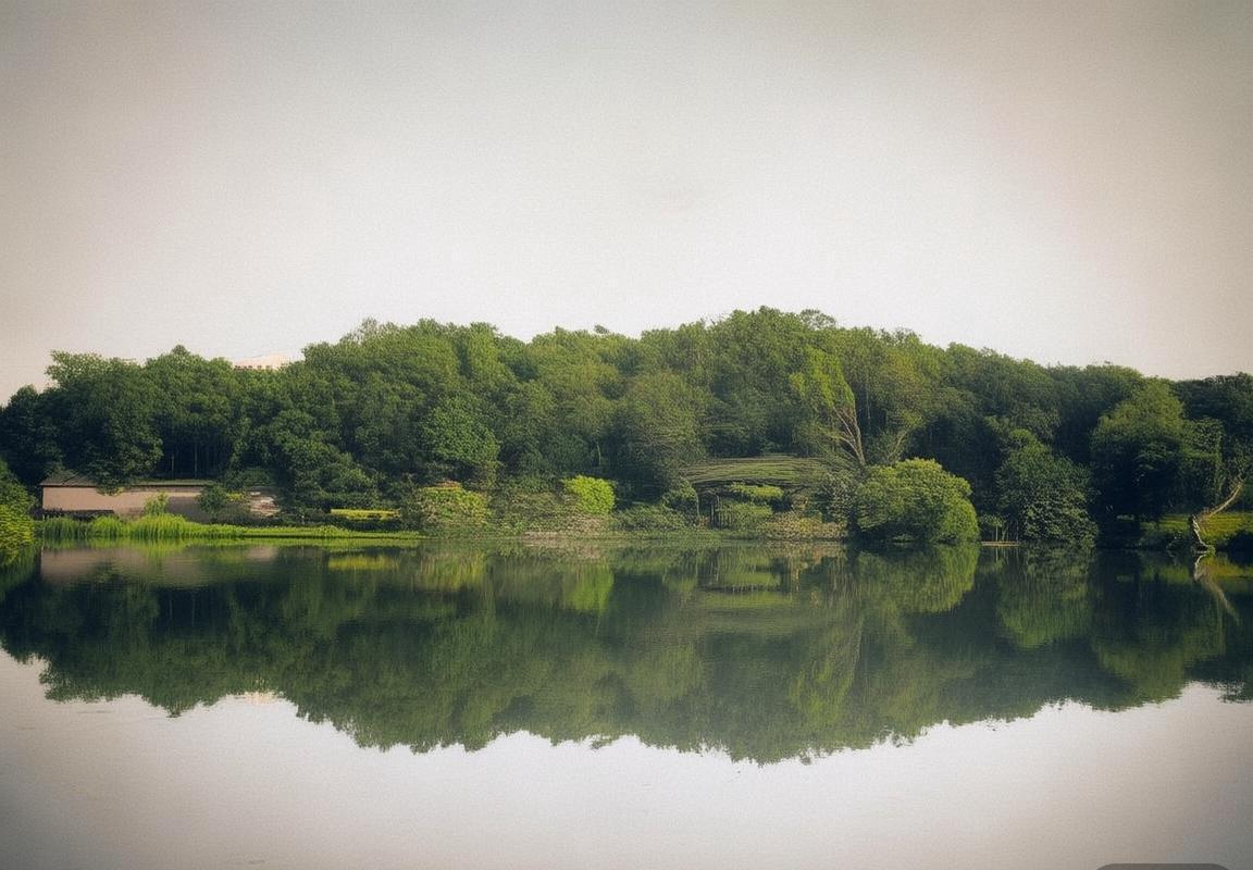 法国VS保加利亚友谊赛：荣耀对决，实力与拼搏较量